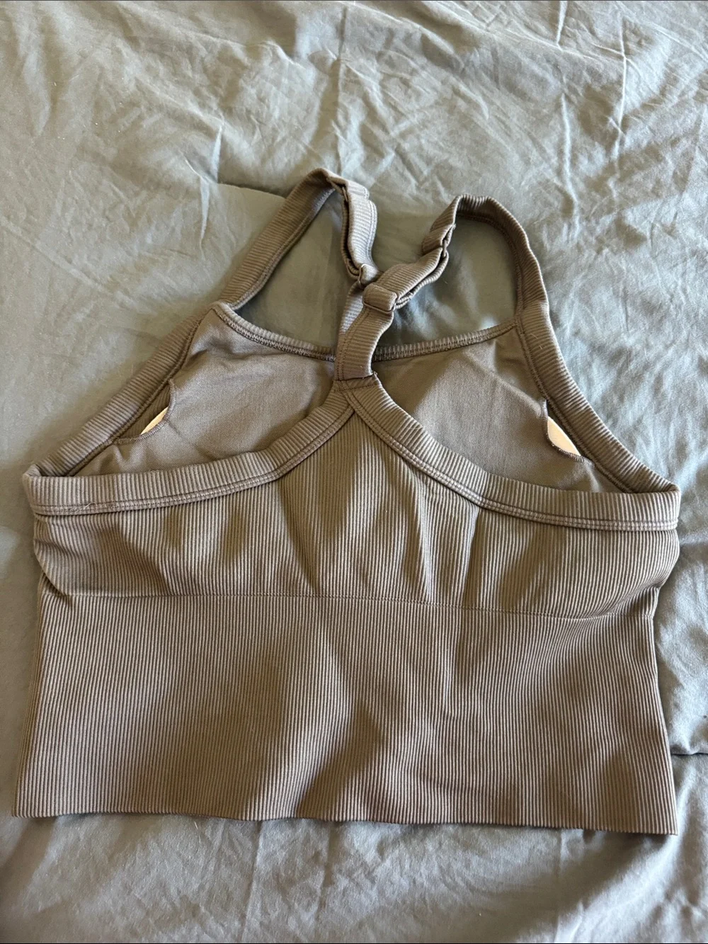 ALO Yoga Seamless Ribbed Favorite Bra - Taupe Beige